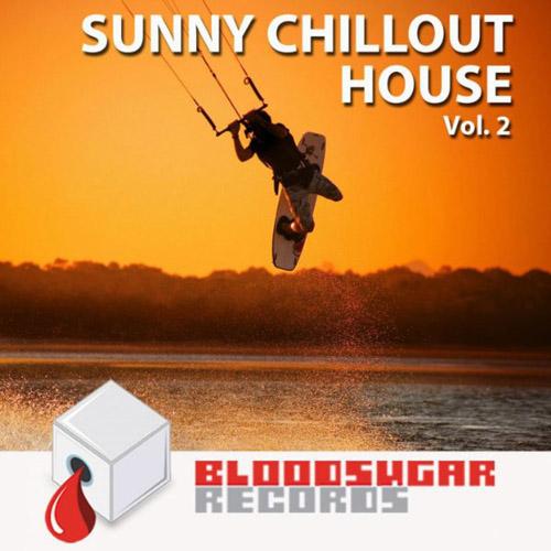 VA - Sunny Chillout House, Vol. 2-3 