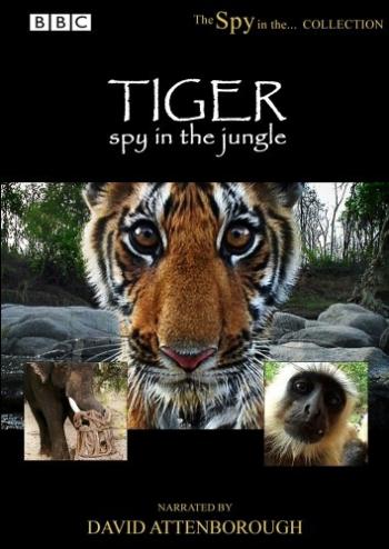 BBC.  -  . / Tiger - Spy in the Jungle