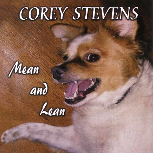 Corey Stevens - Discography 