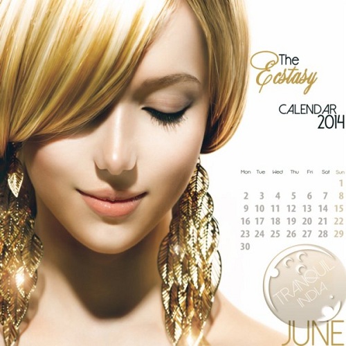 VA - The Ecstasy Calendar 2014 