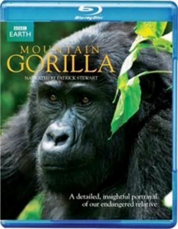 BBC:   [1-3   3] / BBC: Mountain Gorilla VO