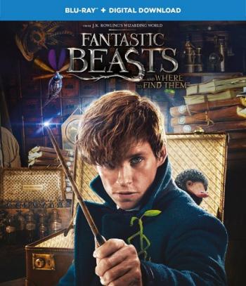       / Fantastic Beasts and Where to Find Them [2D] DUB