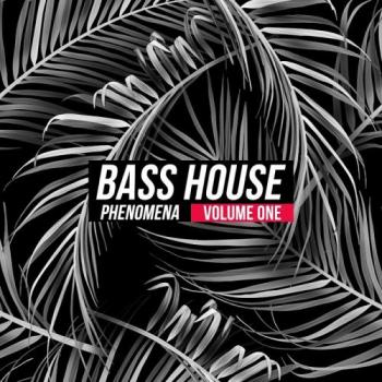 VA - Bass House Phenomena, Vol. 1