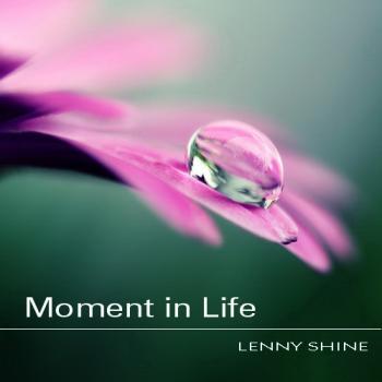 VA - Moment in Life