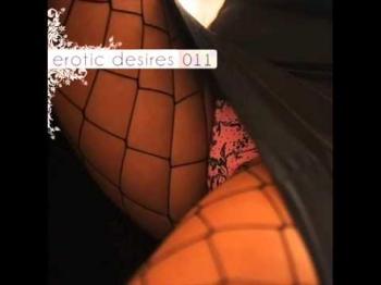 VA - Erotic Desires Volume 011