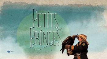      (1-4   4) / Petits Princes DVO