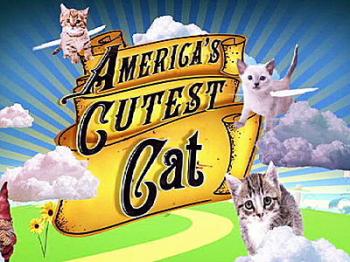 Animal Planet:     (1-7   7) / Animal Planet: America's Cutest VO