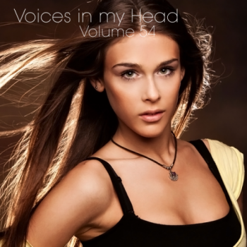 VA - Voices in my Head Volume 54