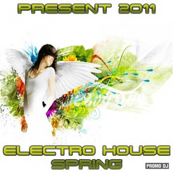 VA - Electro House Spring 2011