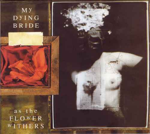 My Dying Bride - Discography 