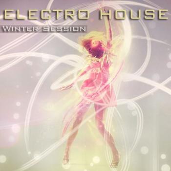 VA - Electro House Winter Session