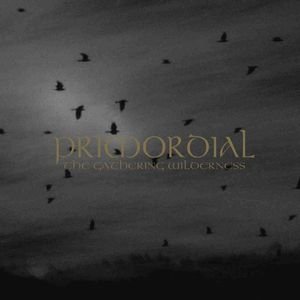 Primordial -  