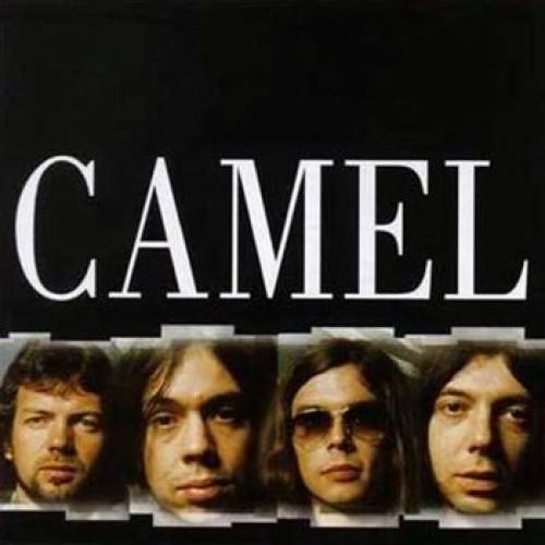 Camel - Discography 