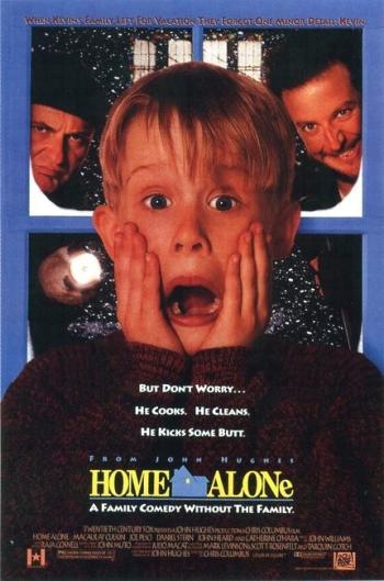  ,   2 -     /  Alone, Home Alone 2: Lost in New York