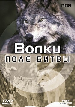 BBC:  .  / BBC: Wolf Battlefield