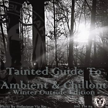 VA - Tainted Guide To Ambient & Chillout Winter Outside Edition