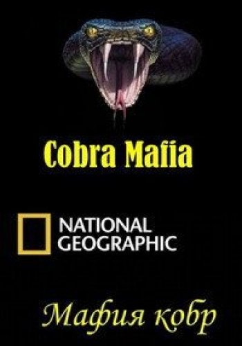   / National Geographic. Cobra Mafia DUB