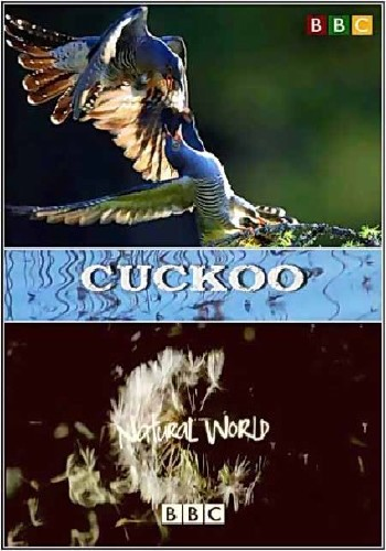  .  / The Natural World. Cuckoo VO