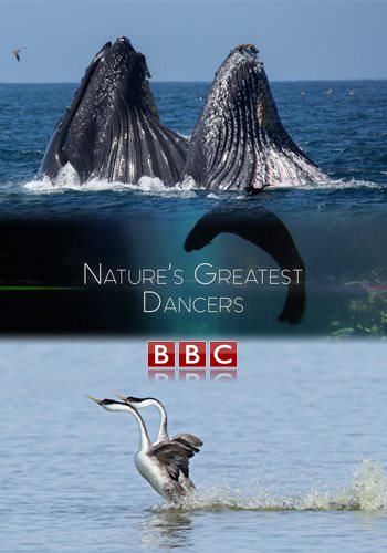    (2   2) / Nature's Greatest Dancers VO