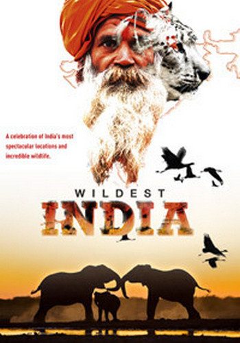    (3   5) / Wildest India DUB