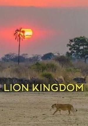   (1-3   3) / NAT GEO WIND. Lion Kingdom DUB