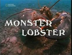 - / National Geographic. Monster lobster VO