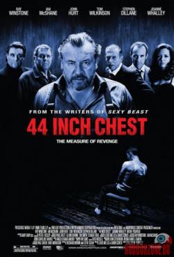 44  / 44 Inch Chest MVO