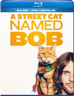      / A Street Cat Named Bob MVO