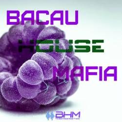 VA - BacauHouseMafia vol.17