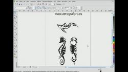    Corel Draw X4  