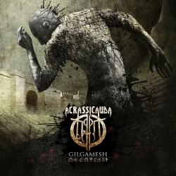 Acrassicauda - Gilgamesh