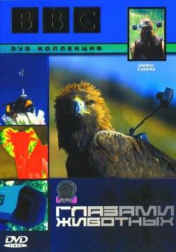 BBC:   [3  3] / BBC: Animal Camera VO