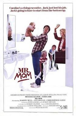   / Mr. Mom DVO