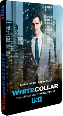  , 1-6  1-81   81 / White Collar