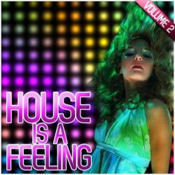 VA - House Is a Feeling Vol 2