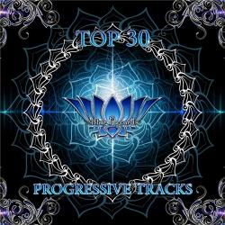 VA - Top 30 Progressive Tracks Vol.1-2