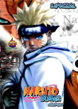 :   / Naruto Shippuuden [TV-2] [ 281-292  ] [RAW] [RUS ] [720p]