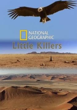   / NAT GEO WILD. Little Killers VO