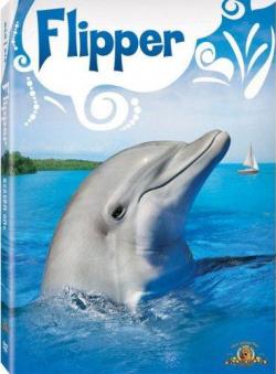  / Flipper (13-24   80)