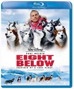   / Eight Below