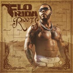 Flo Rida - R.O.O.T.S