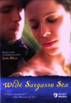    / Wide Sargasso Sea