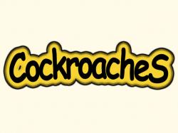 Cockroaches