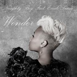 Naughty Boy feat. Emeli Sande - Wonder