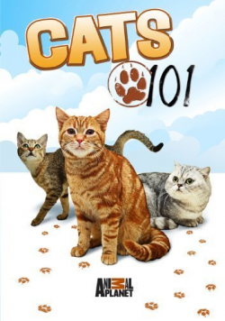    (4 : 1-4 ) / Cats 101 VO