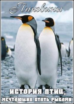 .  ,    / Penguins. The story of the birds that wanted to be fish DVO