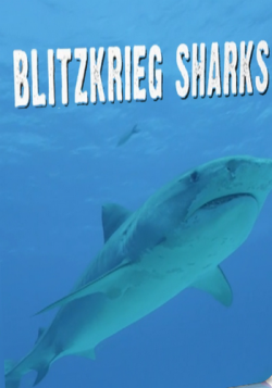   / NAT GEO WILD. Blitzkrieg sharks VO