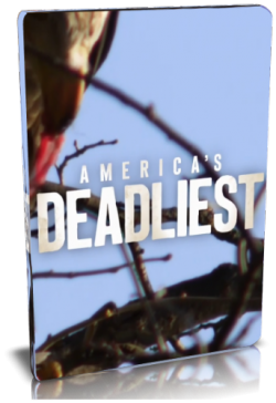     / NAT GEO WILD. America's deadliest VO