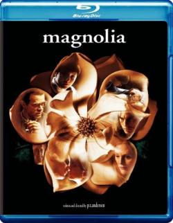  / Magnolia MVO