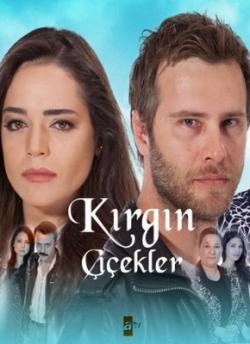  , 1  36-50   50 / Kirgin cicekler [. ]